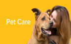 Pet Care Catagories